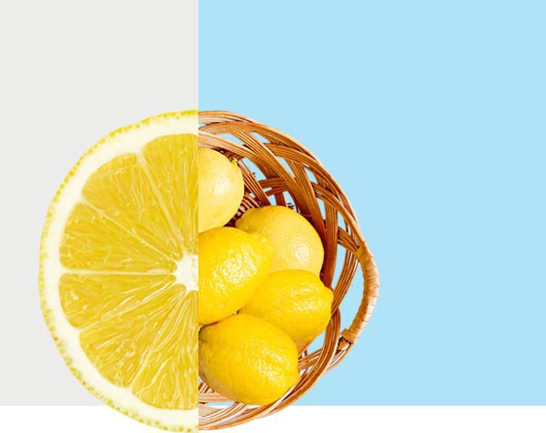 modelo-europeo-lemon | Welcome to the Lemon Age